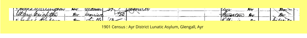 1901 Census : Ayr District Lunatic Asylum, Glengall, Ayr
