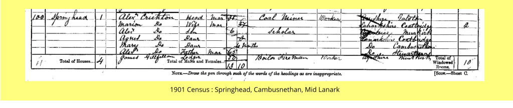 1901 Census : Springhead, Cambusnethan, Mid Lanark