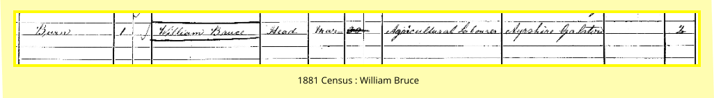 1881 Census : William Bruce