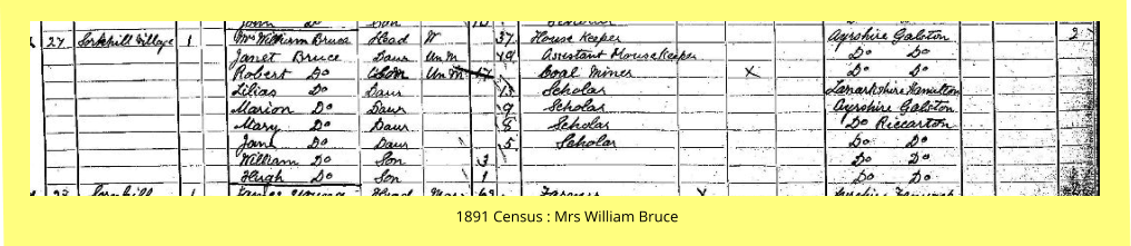 1891 Census : Mrs William Bruce