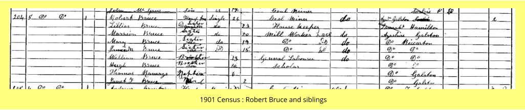 1901 Census : Robert Bruce and siblings