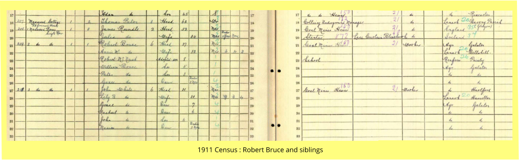 1911 Census : Robert Bruce and siblings