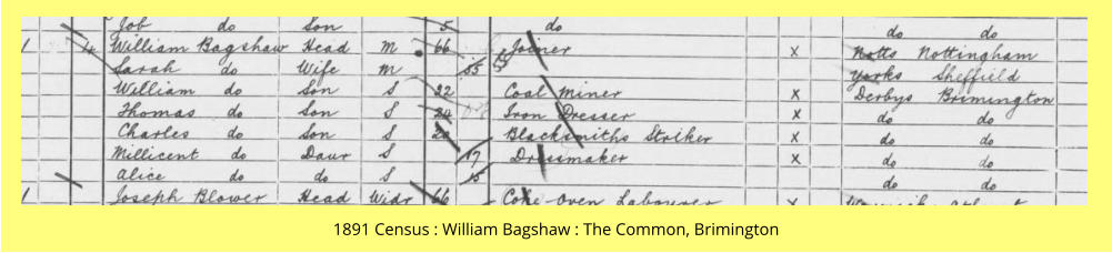 1891 Census : William Bagshaw : The Common, Brimington