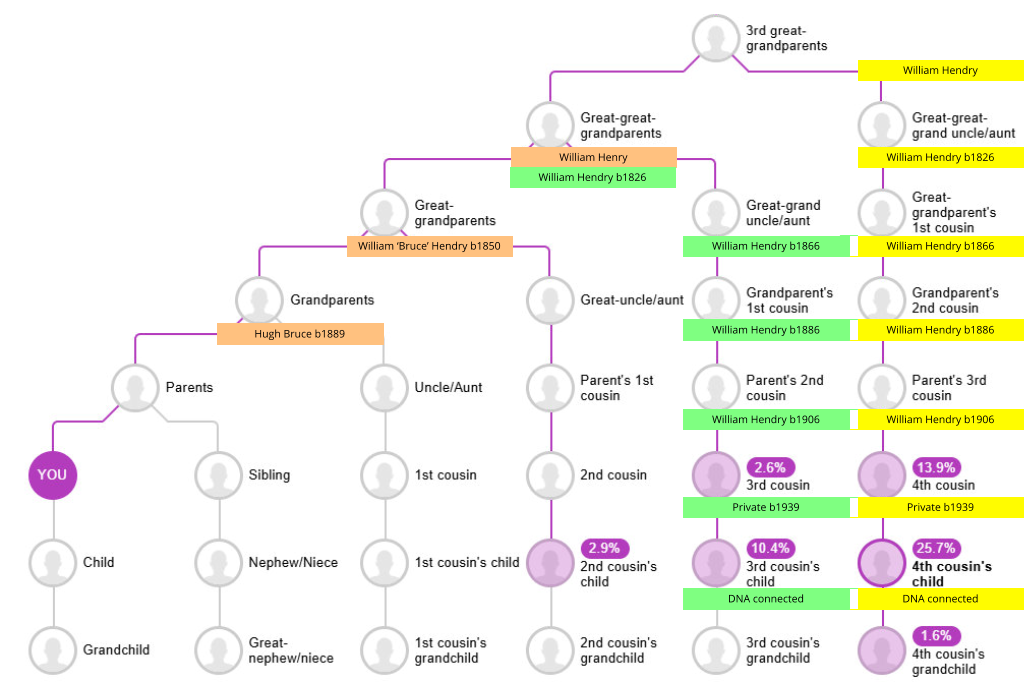 William Hendry b1906 William Hendry b1886 William Hendry b1866 William Hendry b1826 Hugh Bruce b1889 William ‘Bruce’ Hendry b1850 William Henry  Private b1939 DNA connected William Hendry b1906 William Hendry b1886 William Hendry b1866 William Hendry b1826 Private b1939 DNA connected William Hendry