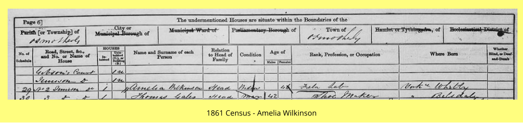 1861 Census - Amelia Wilkinson