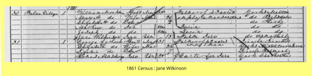 1861 Census : Jane Wilkinson