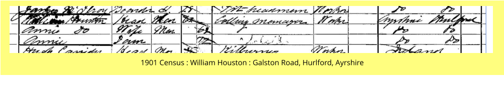 1901 Census : William Houston : Galston Road, Hurlford, Ayrshire