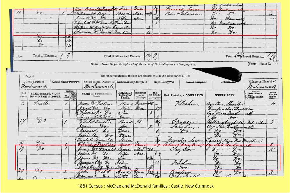 1881 Census : McCrae and McDonald families : Castle, New Cumnock